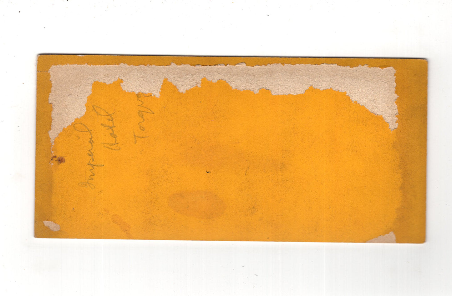 Fotografie Imperial Hotel / Torquay / England