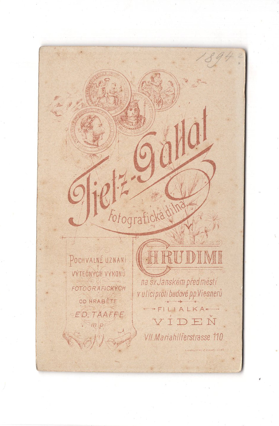 Fotografie Damenportrait - Chrudim / Viden 1890er / CDV C1-04