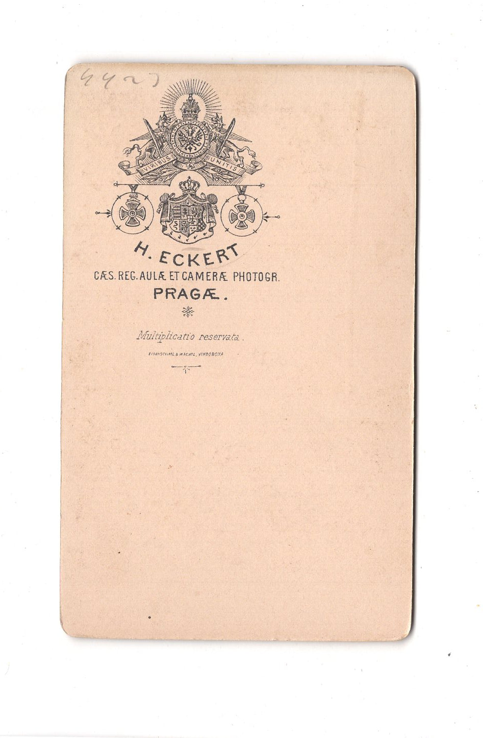 Fotografie Damenportrait - Prag um 1890 / CDV C1-04