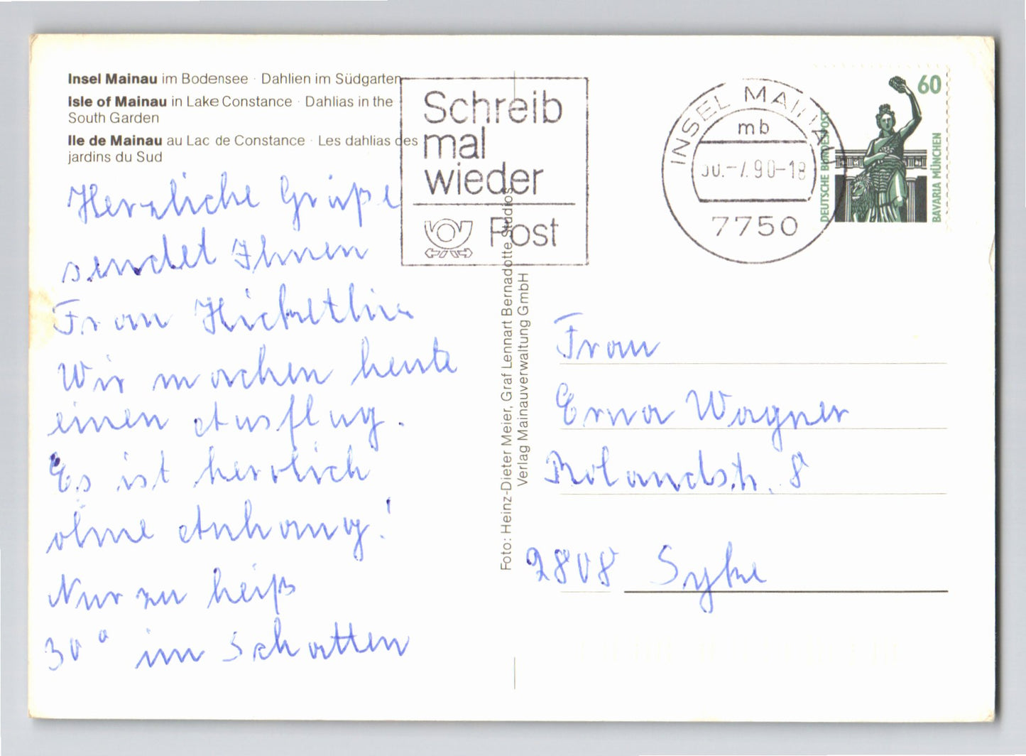 Ansichtskarte Insel Mainau im Bodensee - Dahlien im Südgarten