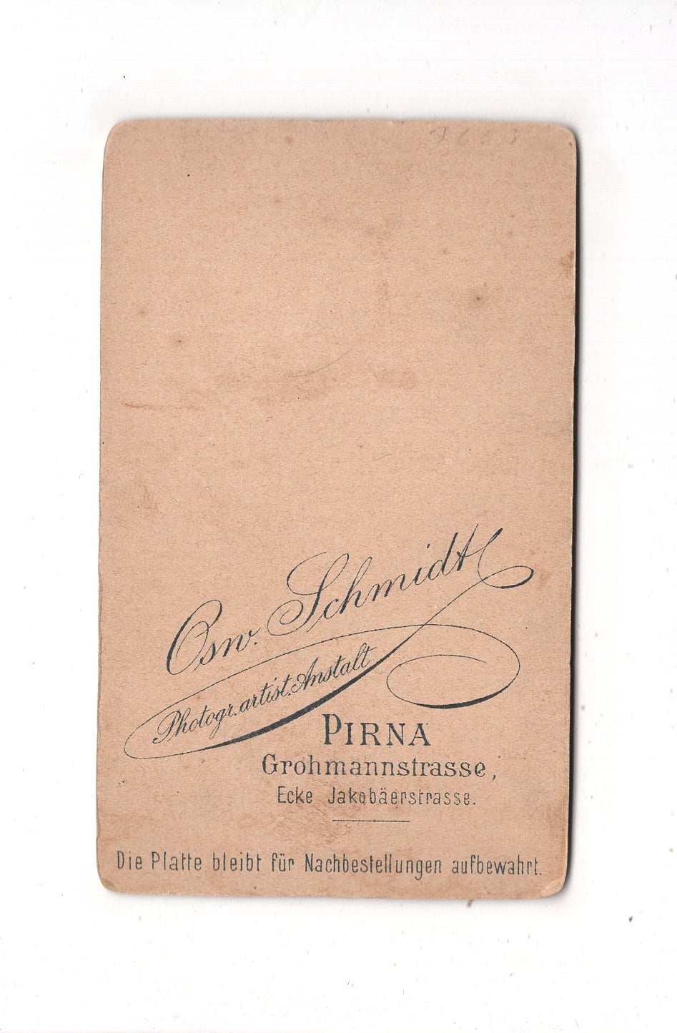 Fotografie Feine Dame - Pirna um 1890 / CDV L1-26