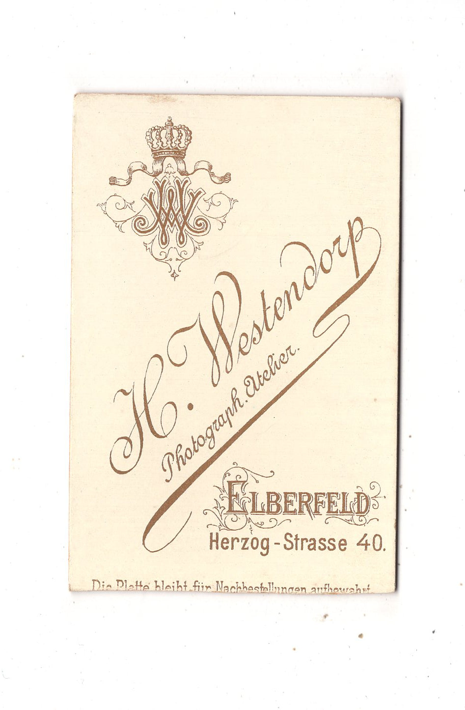 Fotografie Damenportrait - Elberfeld um 1890 / CDV N1-15