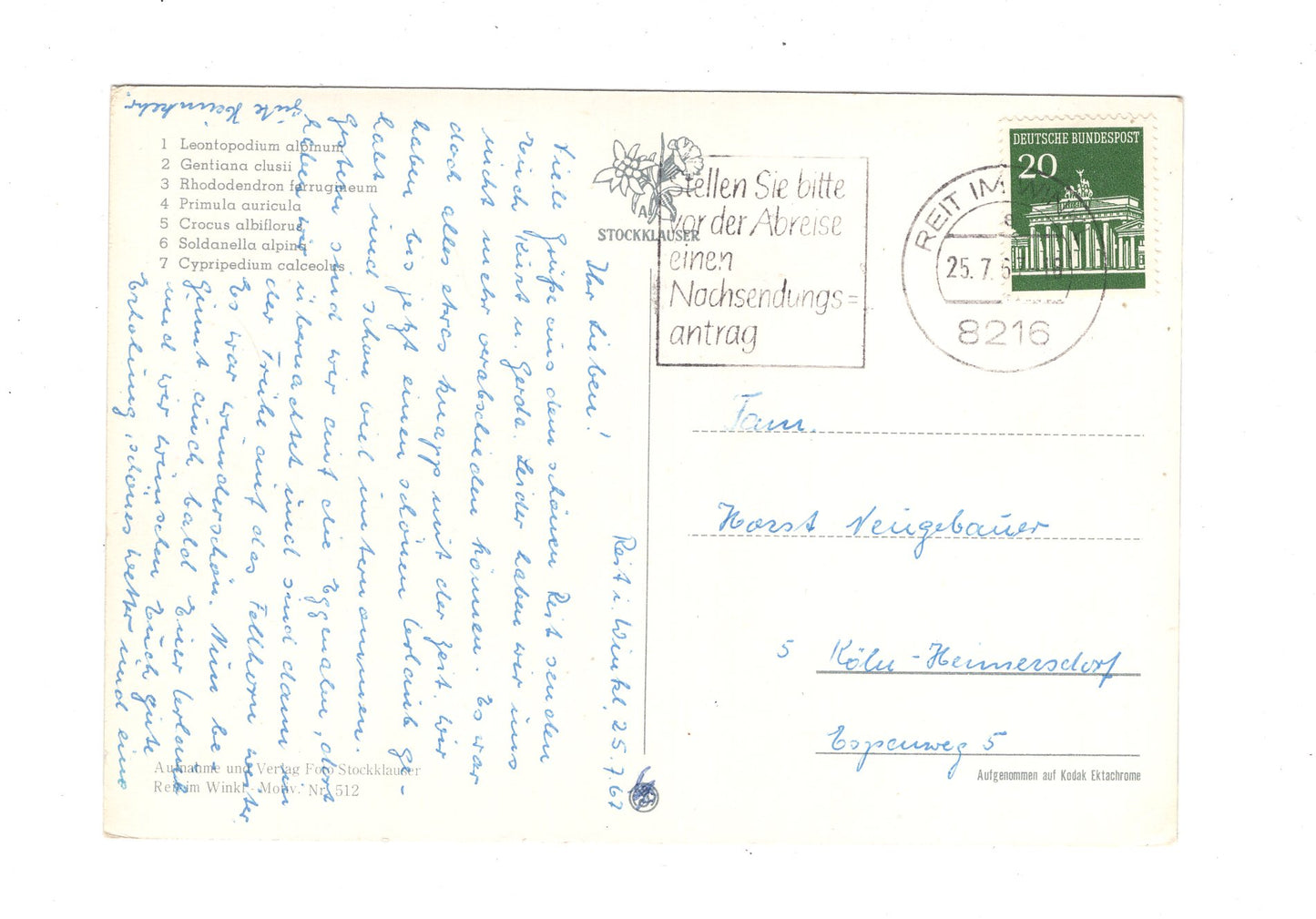 Ansichtskarte Reit im Winkl