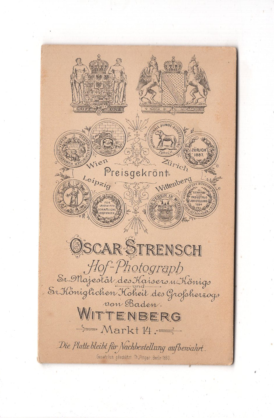 Fotografie Feine Dame - Wittenberg 1890er / CDV L1-26