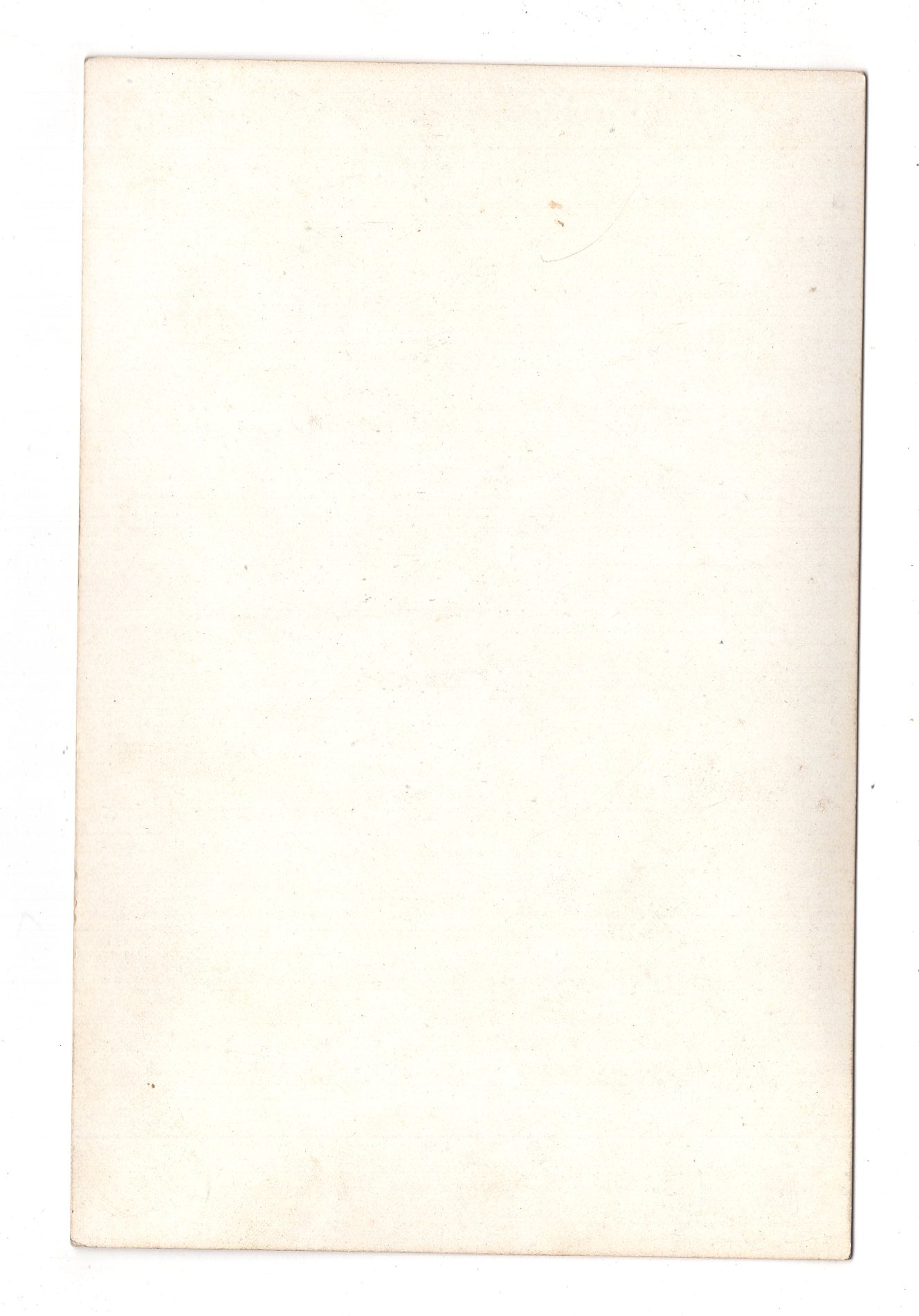 Fotografie Prinzessin Alexandra von Wales mit Hund - Newcastle-upon-Tyne 1860er / CAB U-23