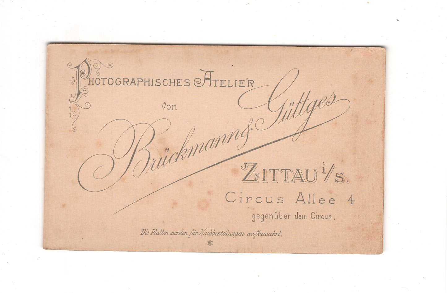 Fotografie Damenportrait - Zittau 1890er / CDV C1-05