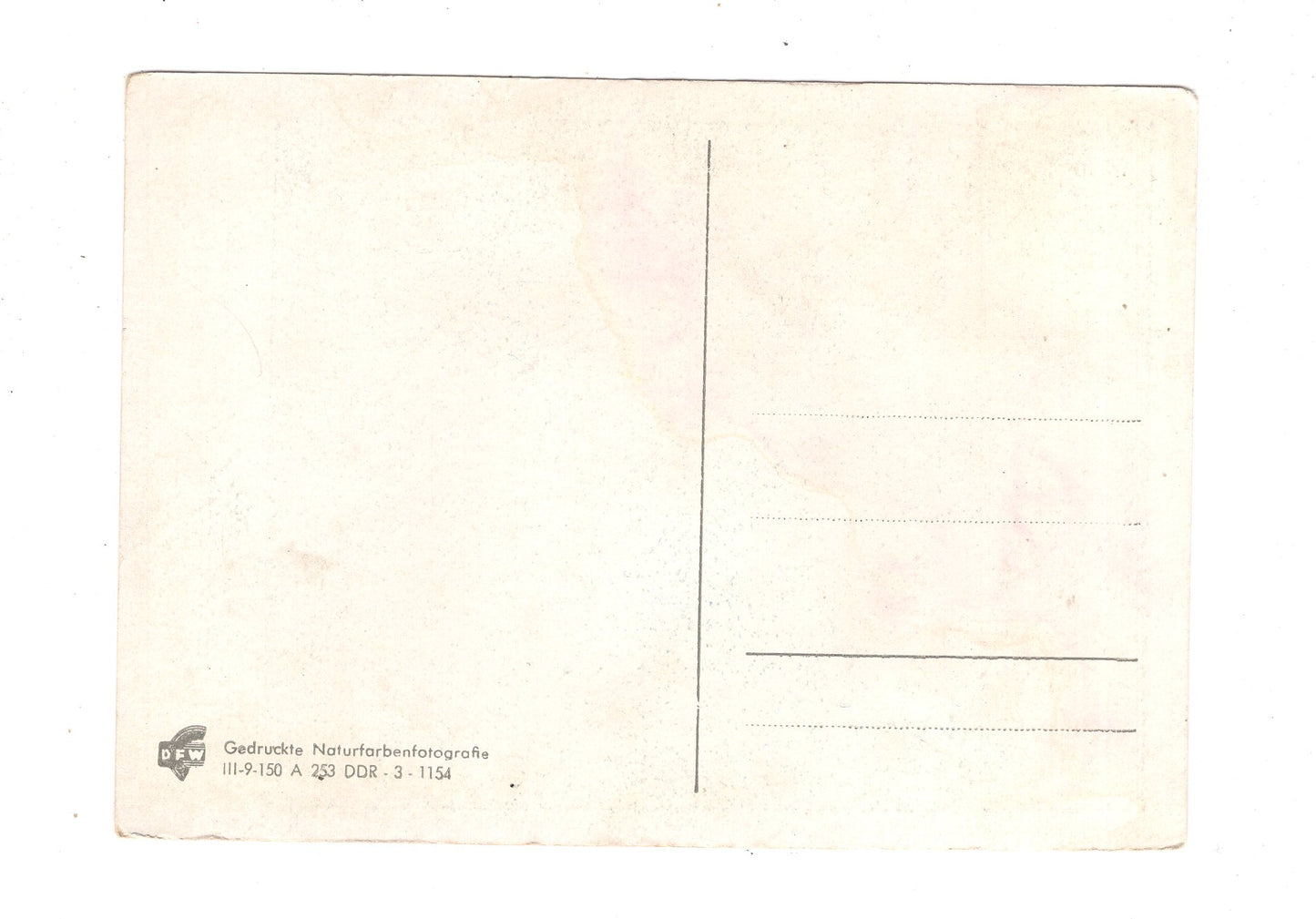 Ansichtskarte Glückwünsche / Glückwunsch zum Geburtstag / L1-58