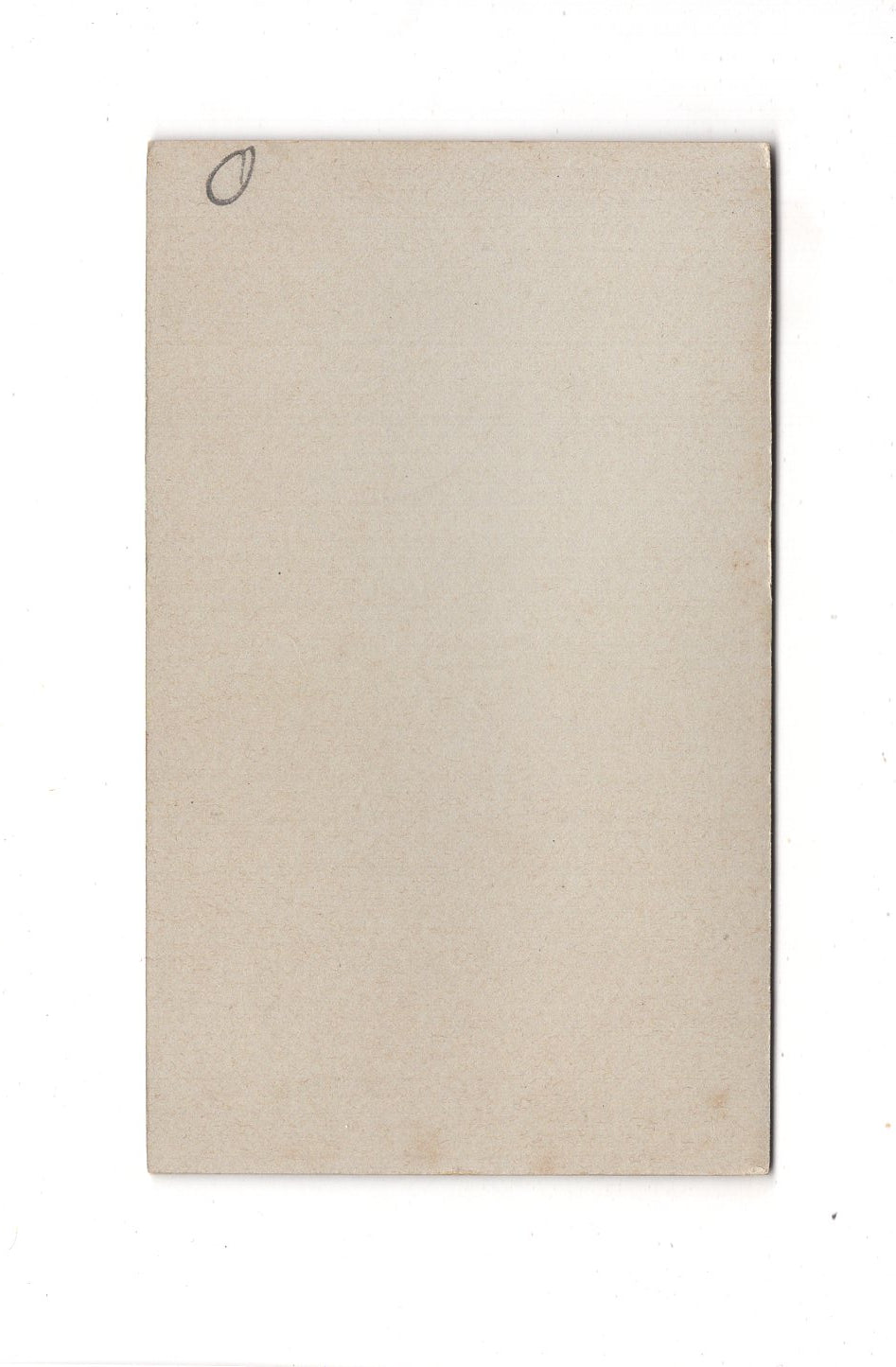 Fotografie Damenportrait - Frankfurt Main um 1900 / CDV C1-05