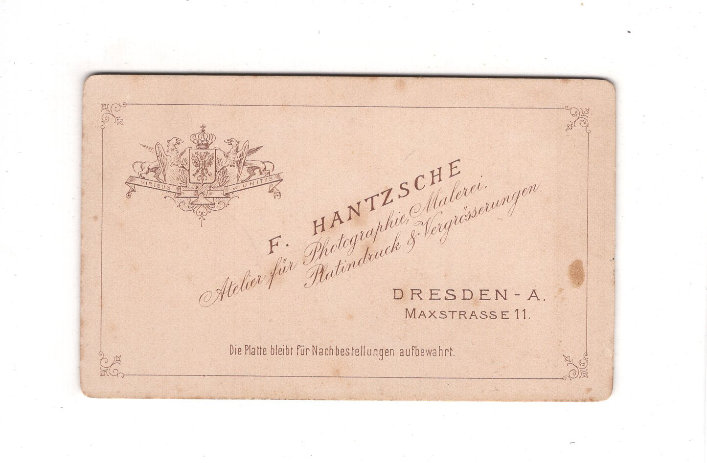 Fotografie Herrenportrait - Dresden 1890er / CDV C1-23
