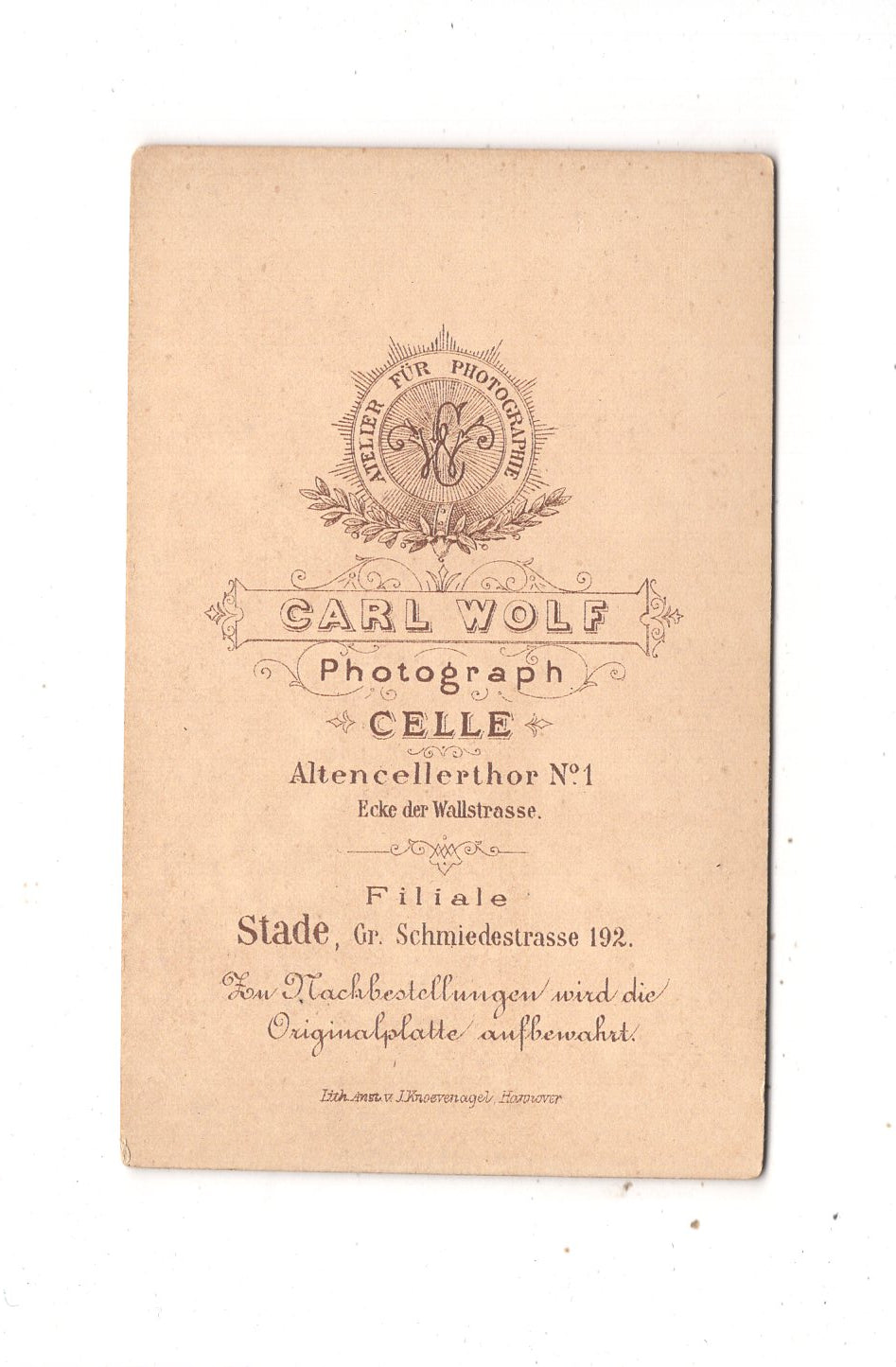 Fotografie Damenportrait - Celle / Stade um 1880 / CDV N1-15