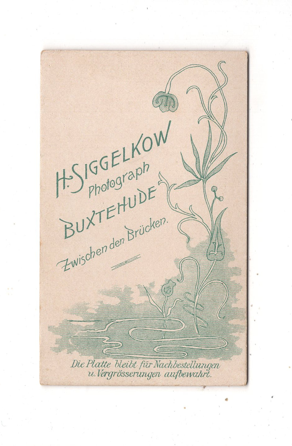 Fotografie Damenportrait - Buxtehude 1890er / CDV N1-15