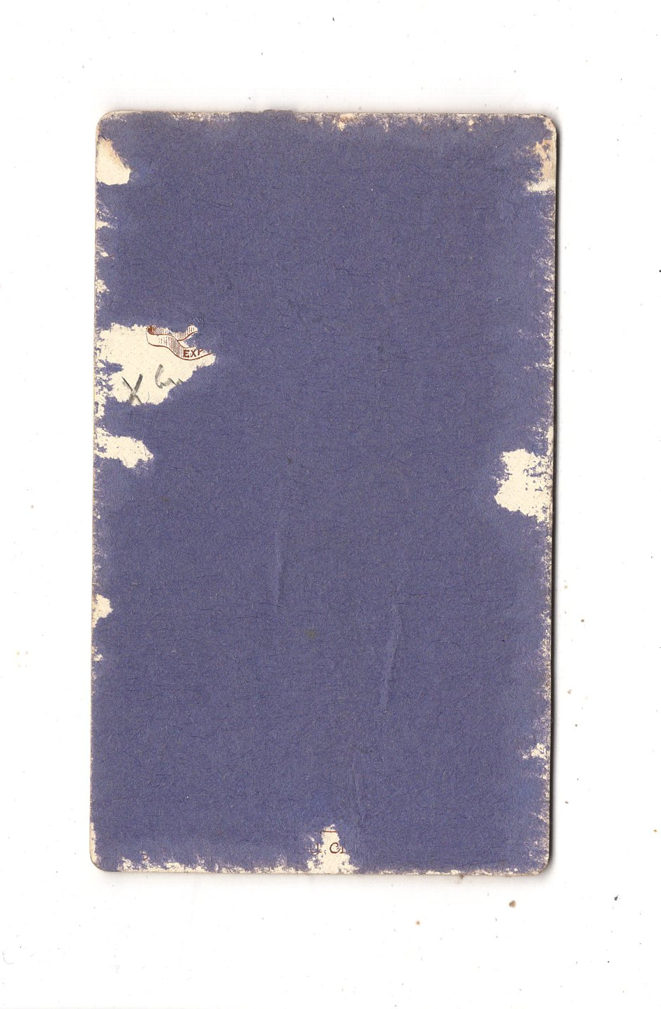 Fotografie Damenportrait - Reims / Frankreich 1890er / CDV N1-15