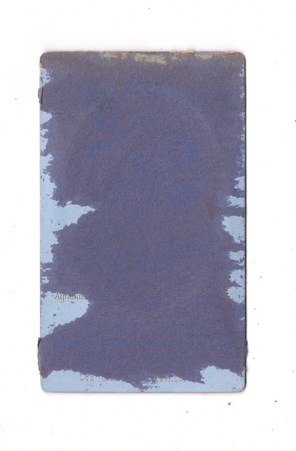 Fotografie Damenportrait - Epernay um 1880 / CDV N1-15