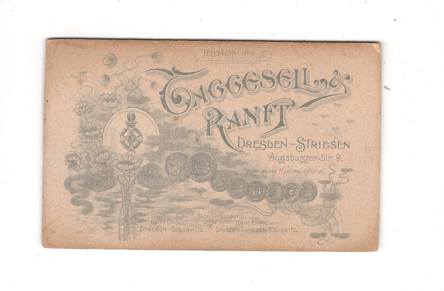 Fotografie Feine Dame - Dresden-Striesen 1890er / CDV L1-27