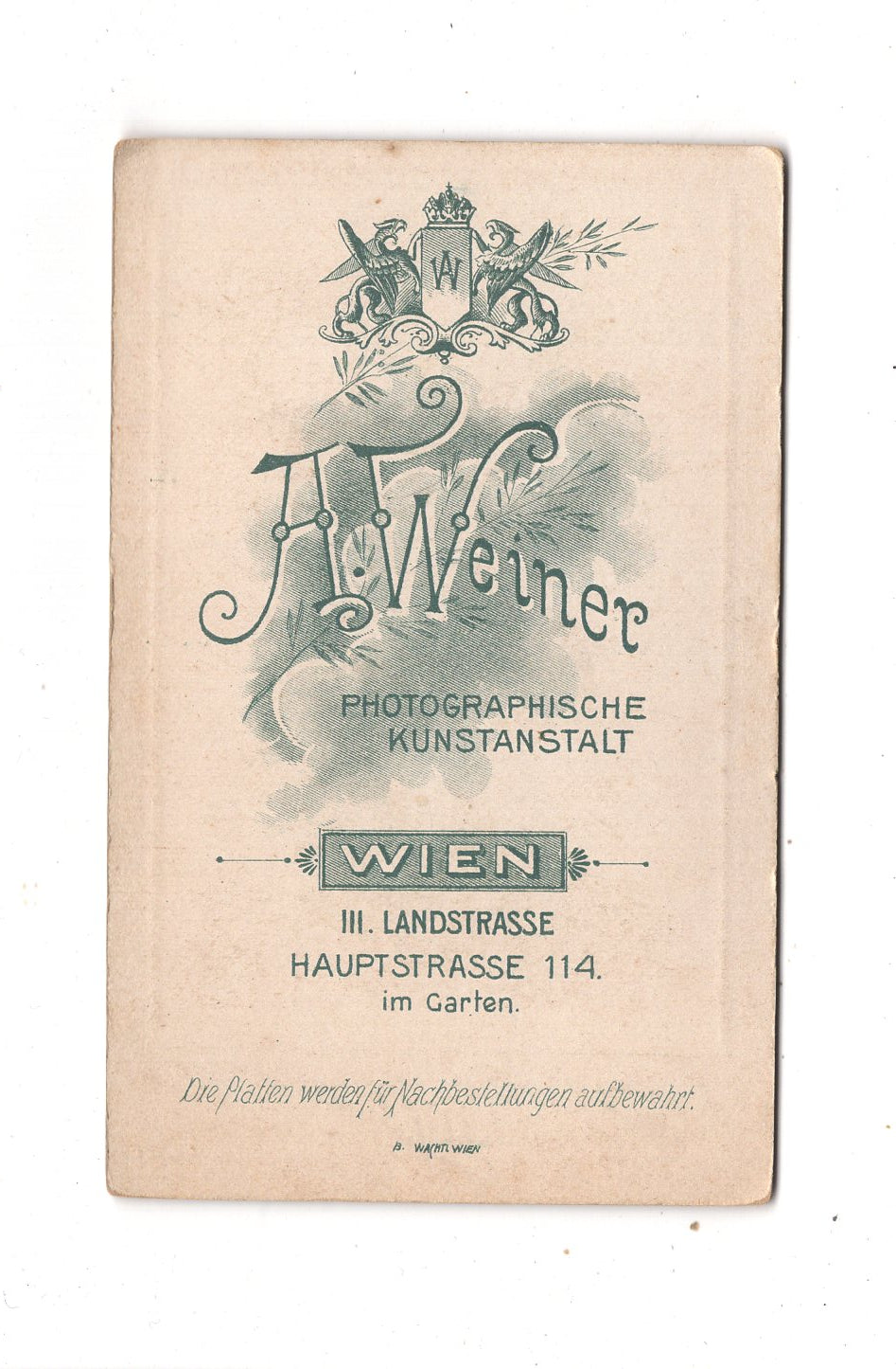 Fotografie Damenportrait - Wien um 1900 / CDV N1-16