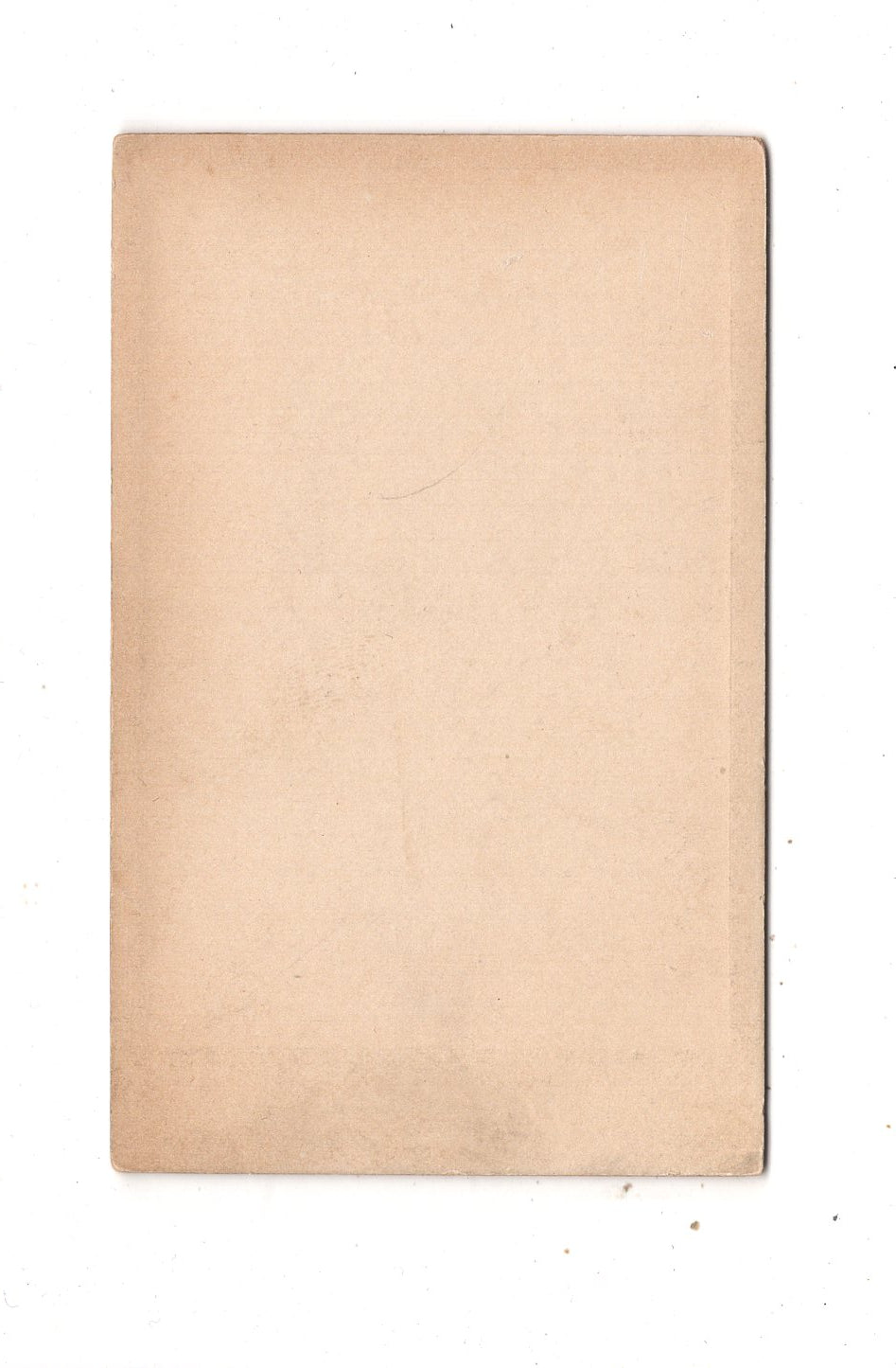 Fotografie Damenportrait - unbekannter Ort 1900er / CDV N1-16