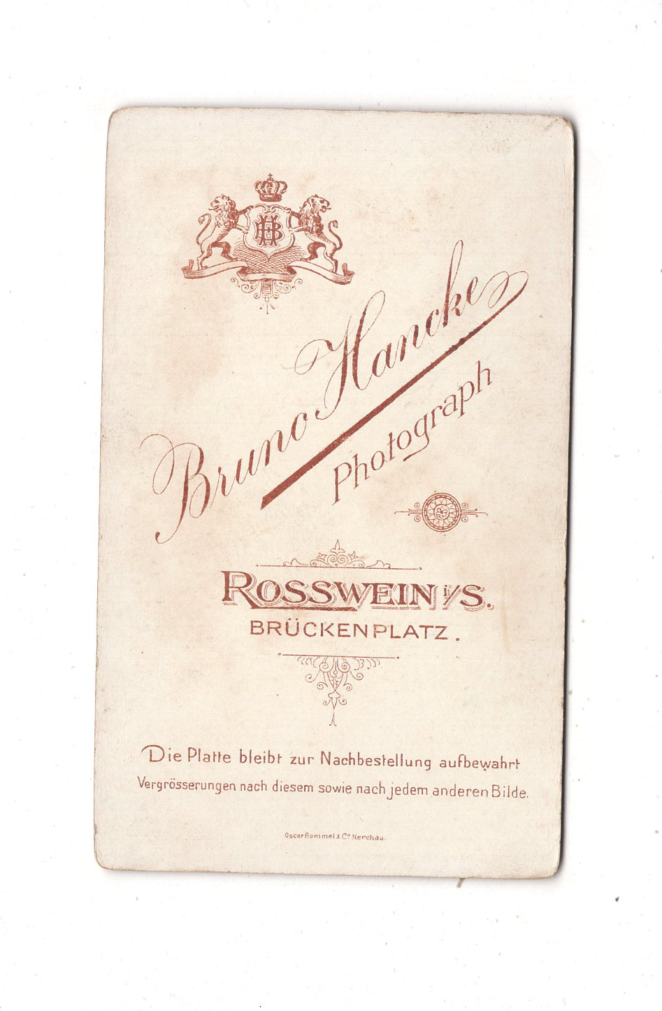 Fotografie Feine Dame - Roßwein 1890er / CDV L1-27
