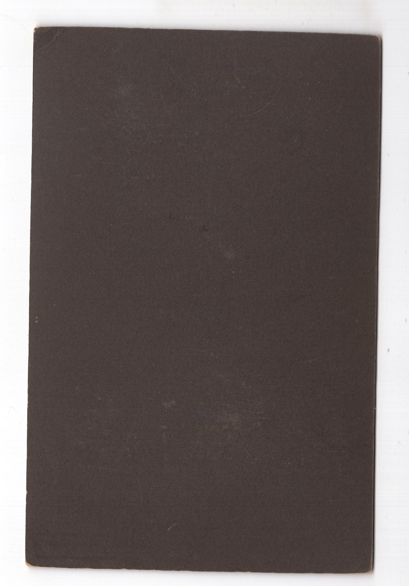 Fotografie Feine Dame - Leisnig 1900er / CAB W-27