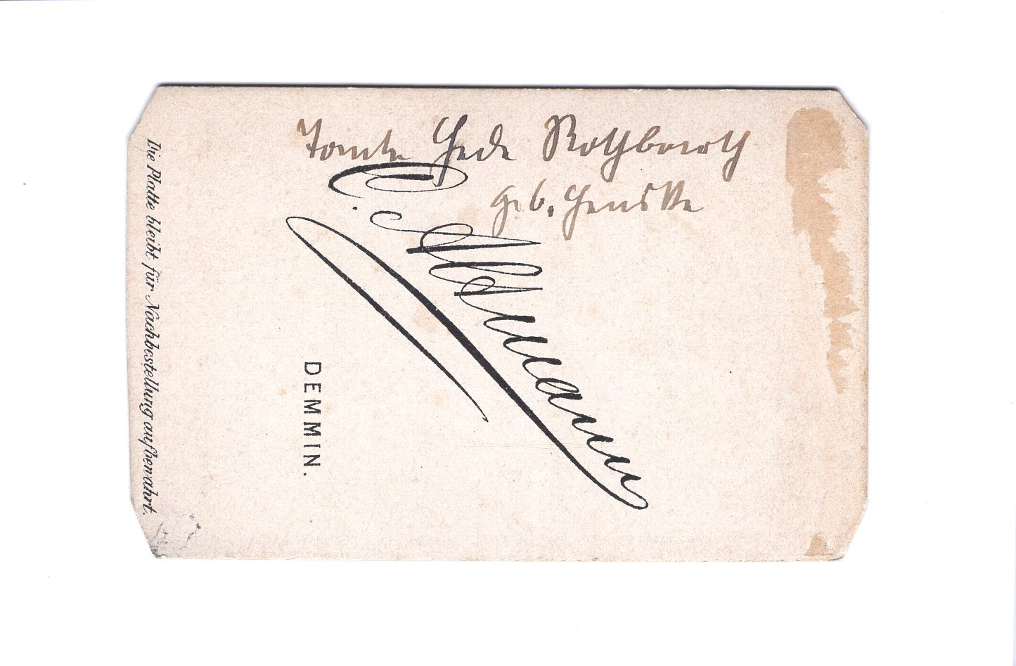 Fotografie Damenportrait / benannt - Demmin 1890er