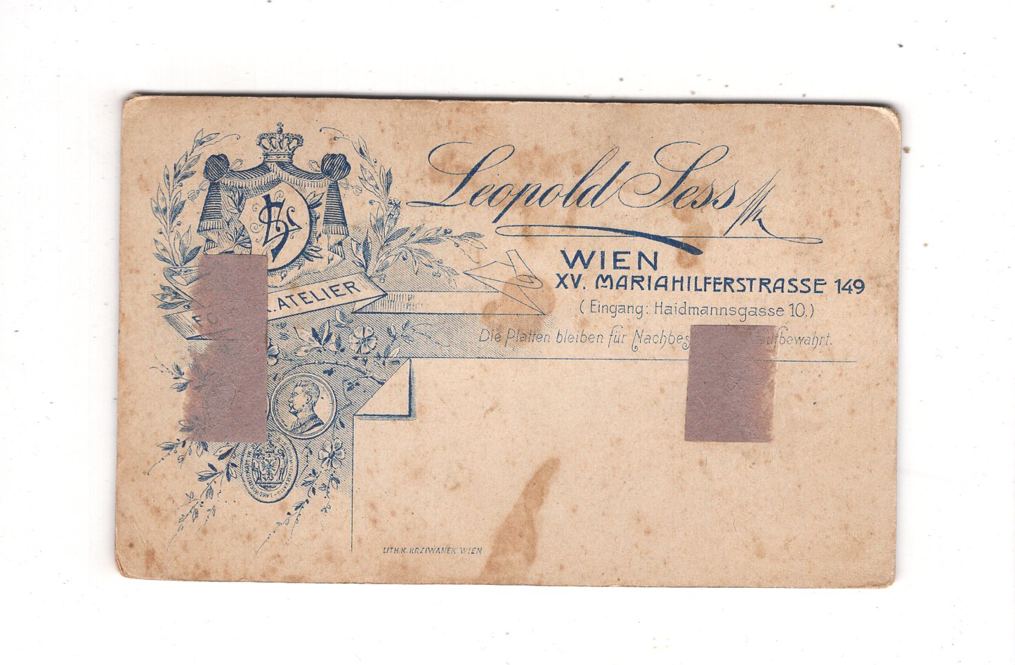 Fotografie Damenportrait - Wien um 1900 / CDV N1-16