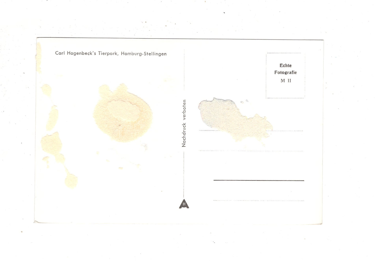 Ansichtskarte Hamburg / Hagenbeck´s Tierpark / I1-70