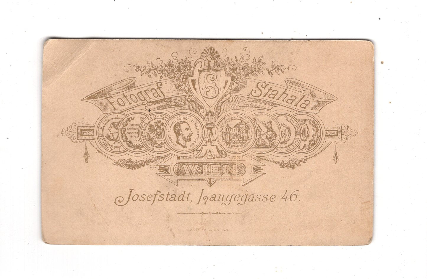 Fotografie Damenportrait - Wien 1880er / CDV N1-16