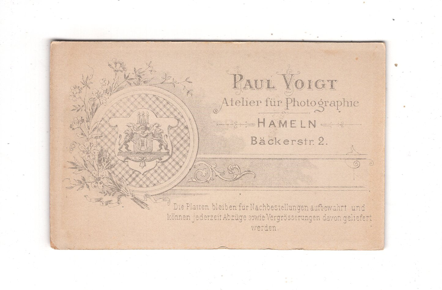 Fotografie Damenportrait - Hameln 1890er / CDV N1-16