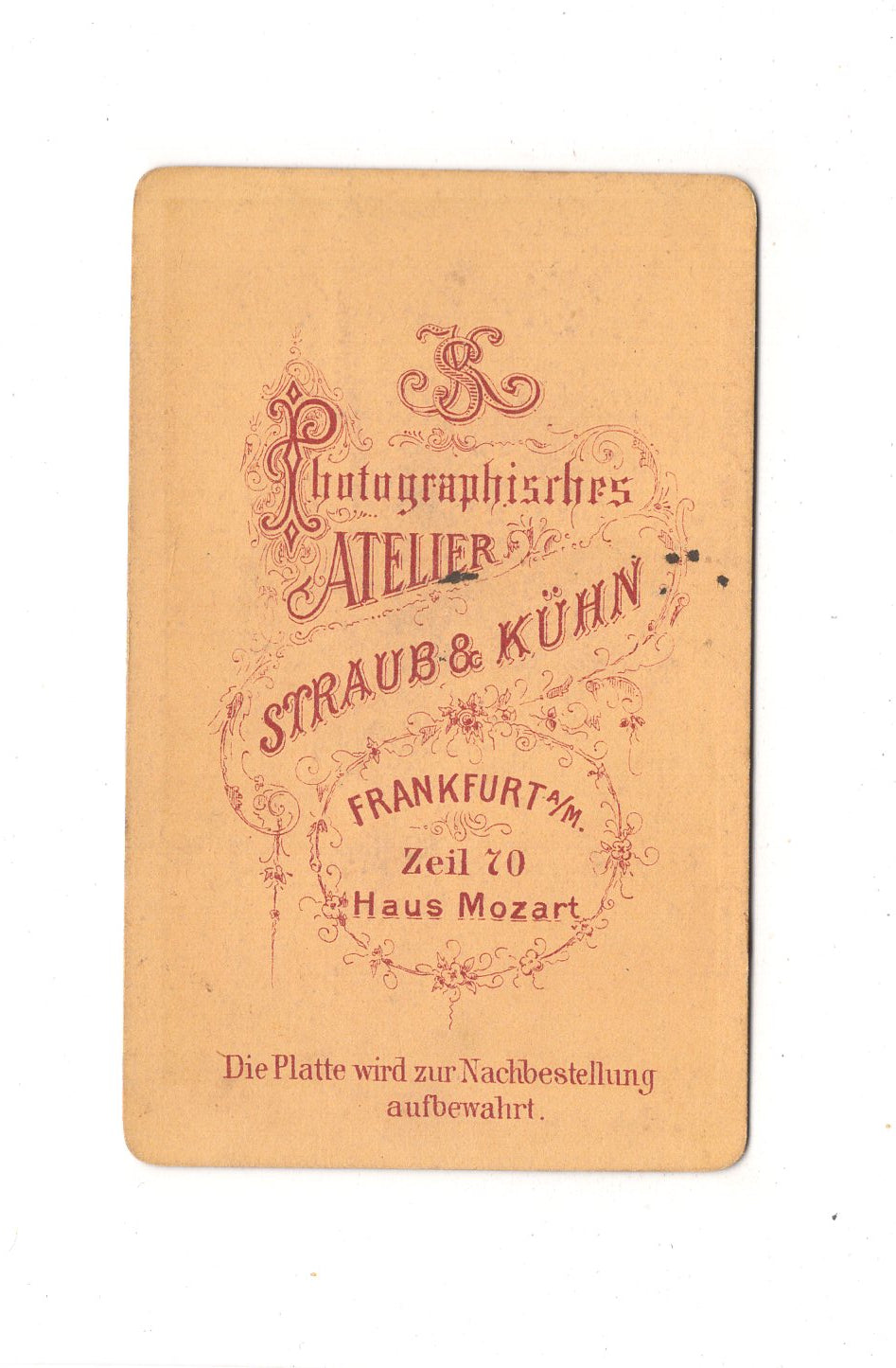 Fotografie Damenportrait - Frankfurt Main 1870er / CDV C1-06