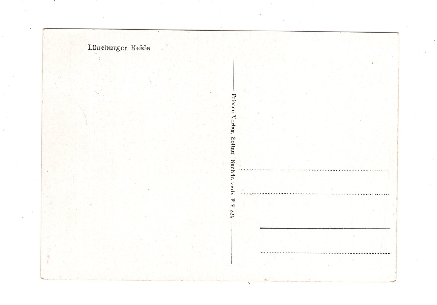 Ansichtskarte Lüneburger Heide / Heidschnucken bei Wilsede