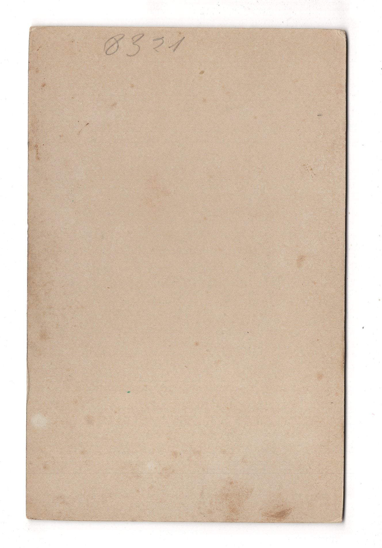 Fotografie Feine Dame - Mainz 1890er / CAB W-28