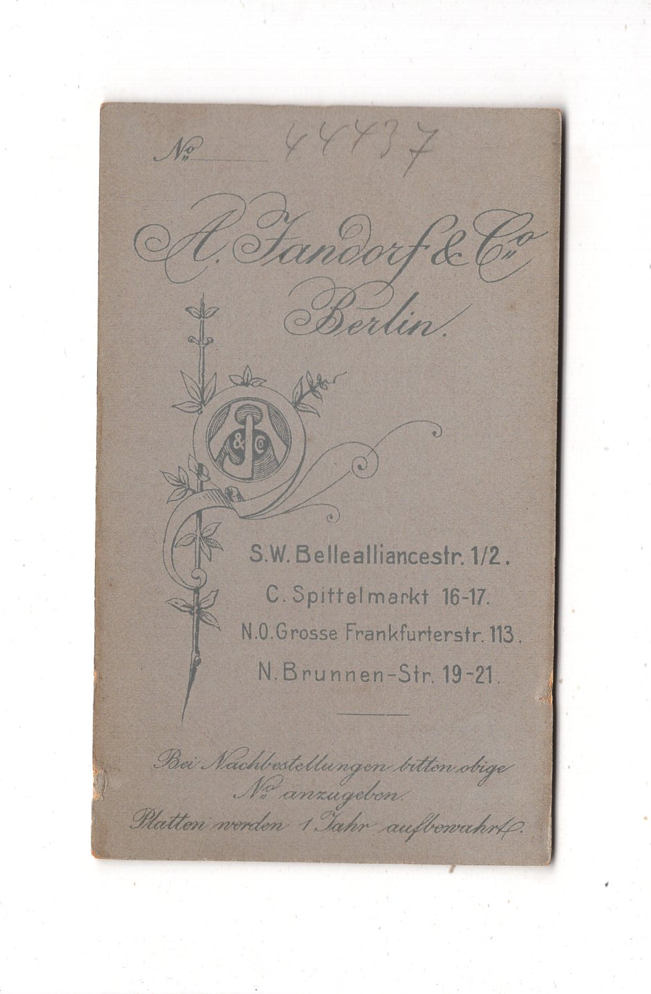 Fotografie Feine Dame - Berlin 1890er / CDV L1-27