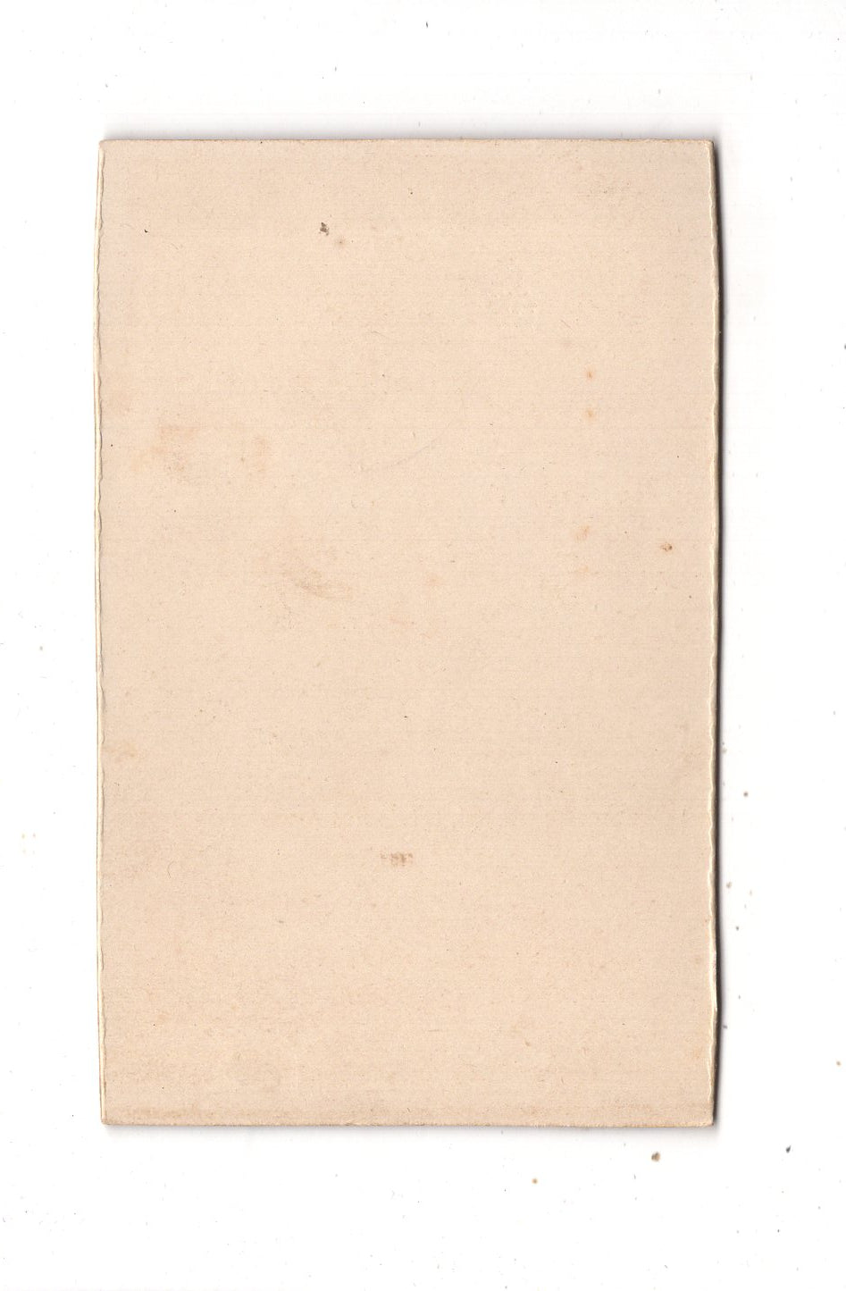 Fotografie Damenportrait - unbekannter Ort 1890er / CDV N1-16