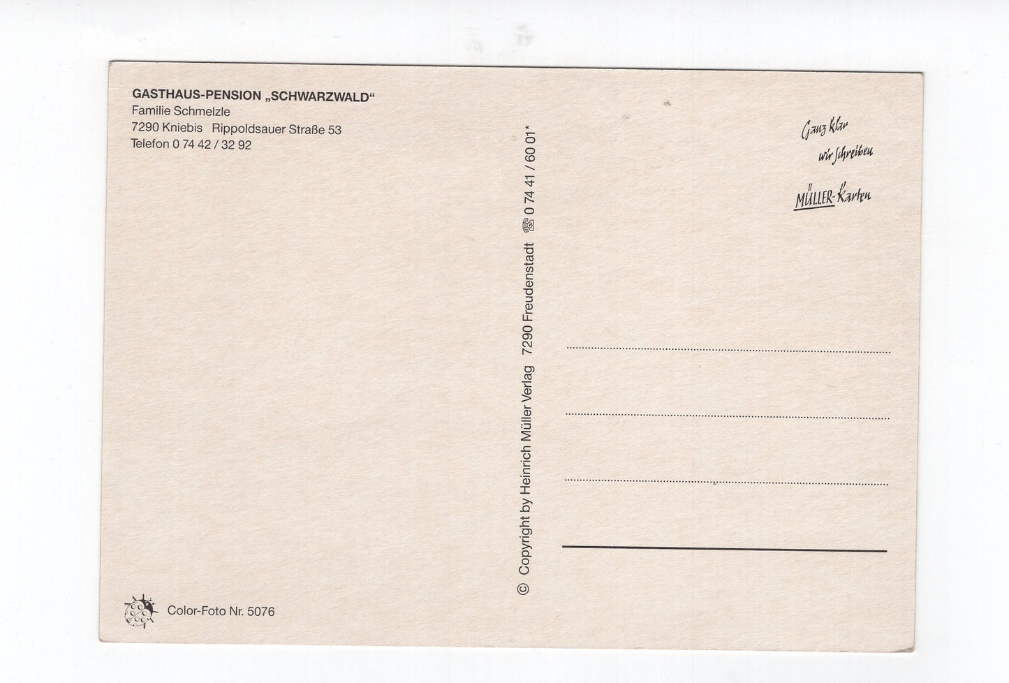 Ansichtskarte Gasthaus-Pension Schwarzwald / Kniebis