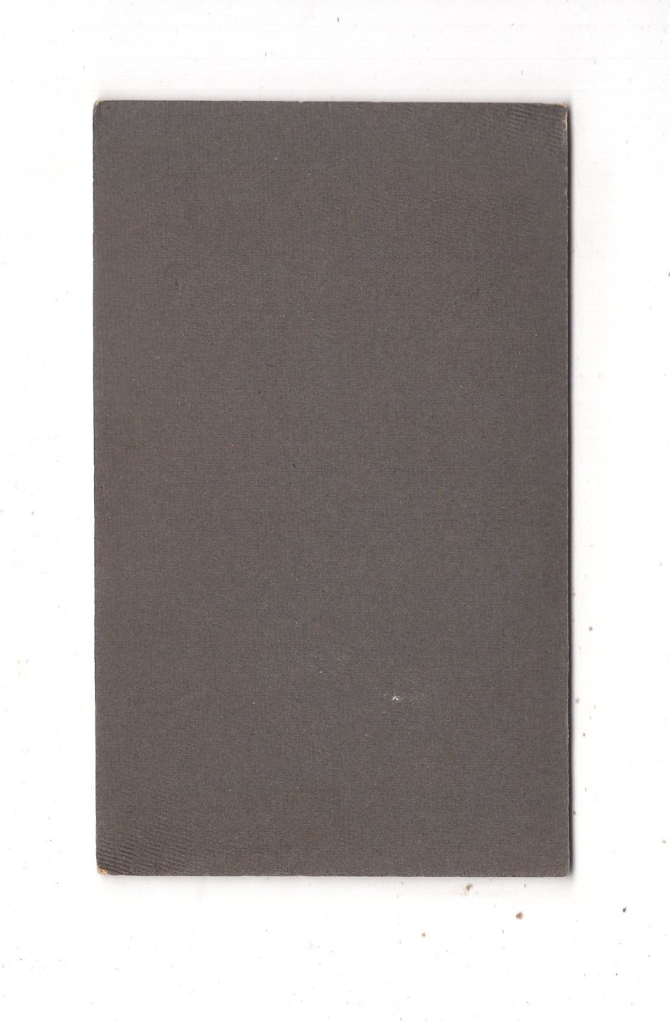 Fotografie Feine Damen - Bruchhausen-Vilsen 1900er / CDV N1-17
