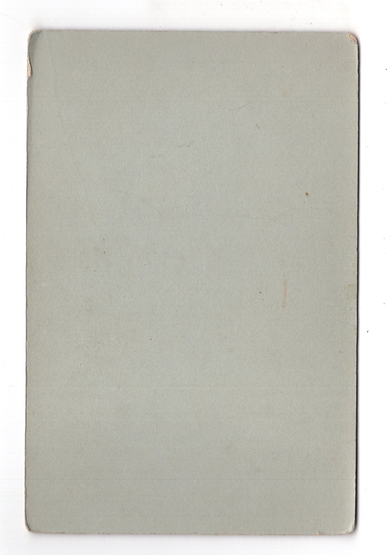 Fotografie Niedliches kleines Mädchen / benannt - Wien 1918 / CAB U-26