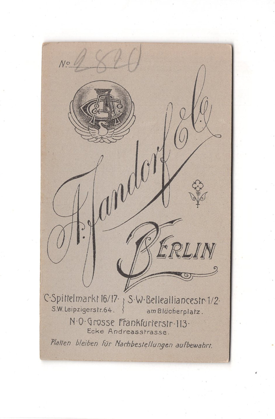 Fotografie Damenportrait - Berlin um 1900 / CDV C1-07