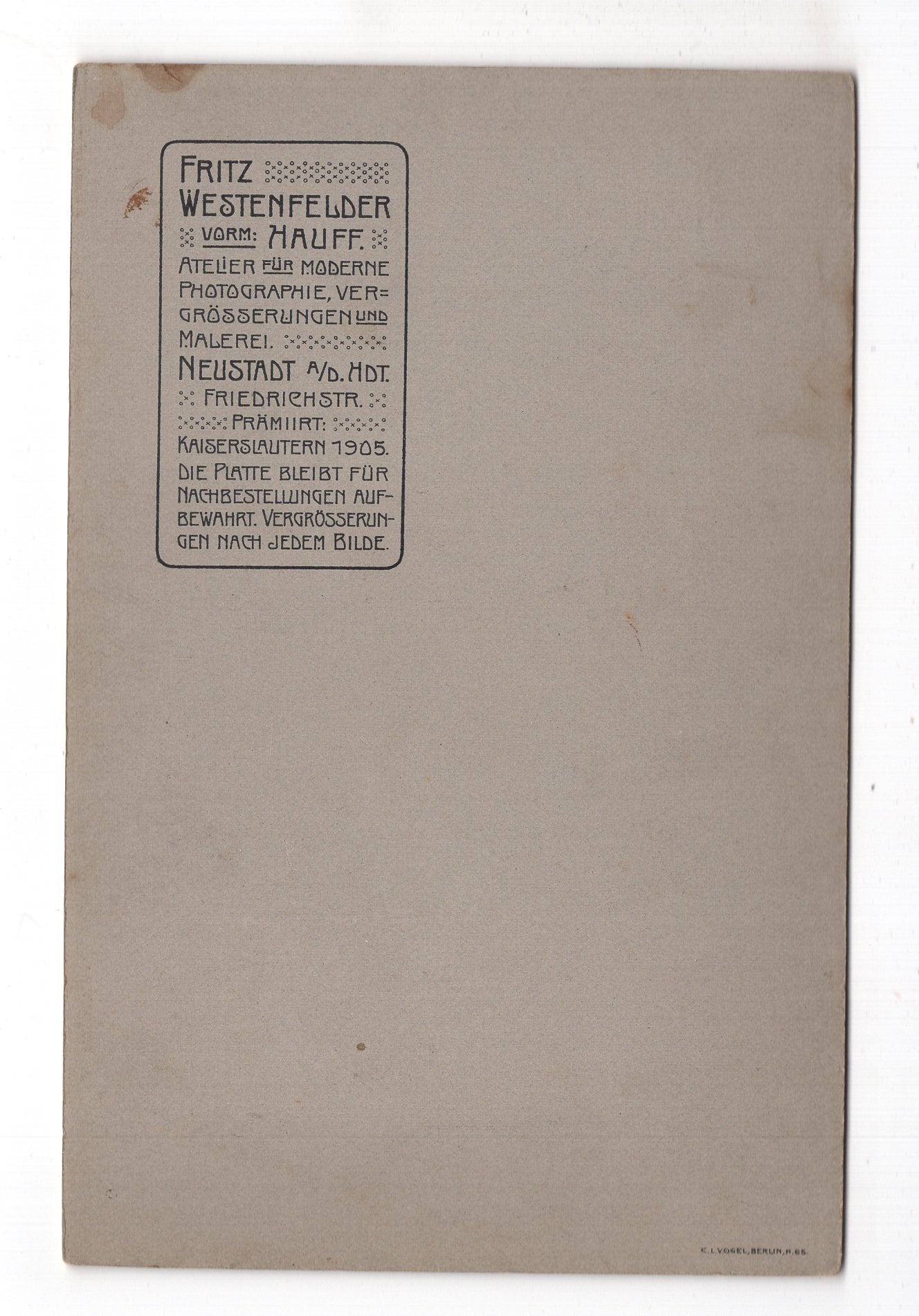 Fotografie Feine Dame - Neustadt a. Hdt. 1900er / CAB W-29