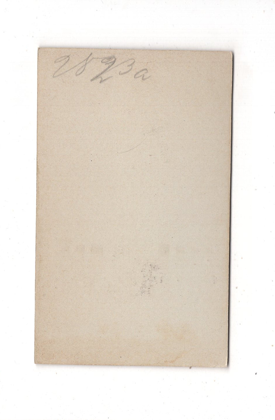 Fotografie Feine Dame - Hannover 1890er / CDV L1-28