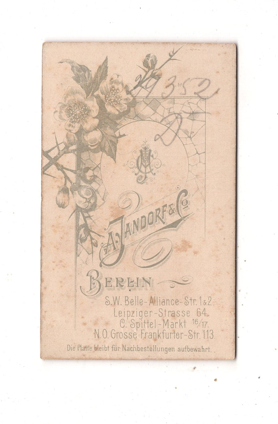 Fotografie Damenportrait - Berlin 1890er / CDV N1-17