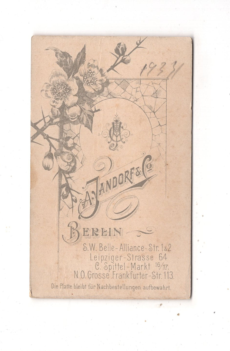 Fotografie Damenportrait - Berlin 1890er / CDV N1-17