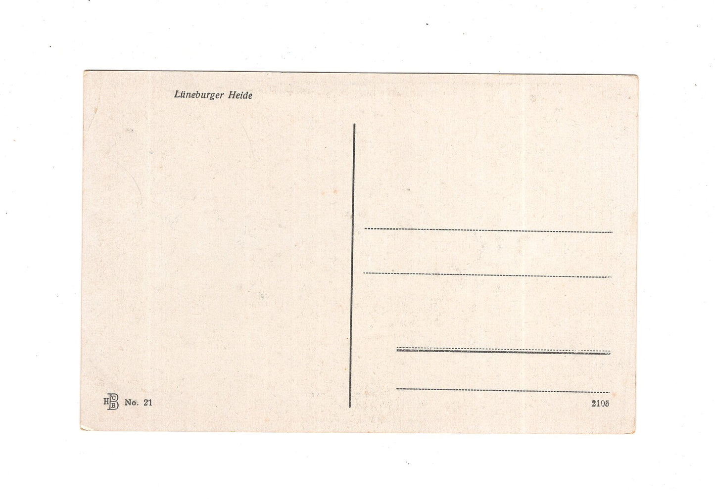 Ansichtskarte Lüneburger Heide / Heidschnucken