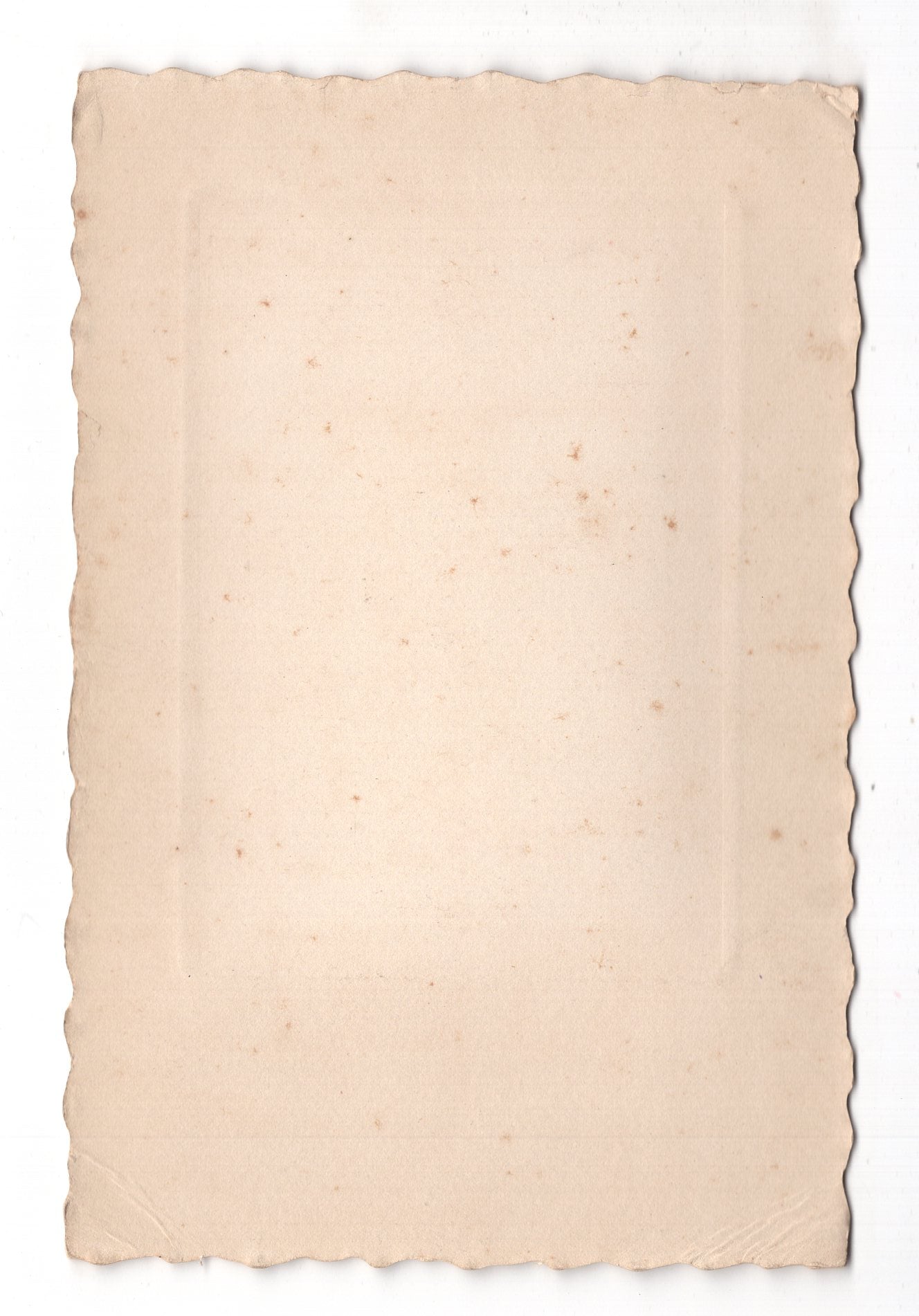 Fotografie Feine Dame - Niort um 1910 / CAB W-30