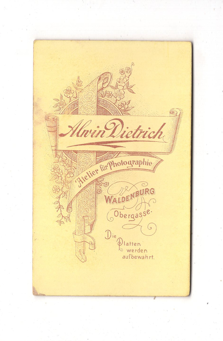 Fotografie Feine Dame - Waldenburg 1890er / CDV L1-28