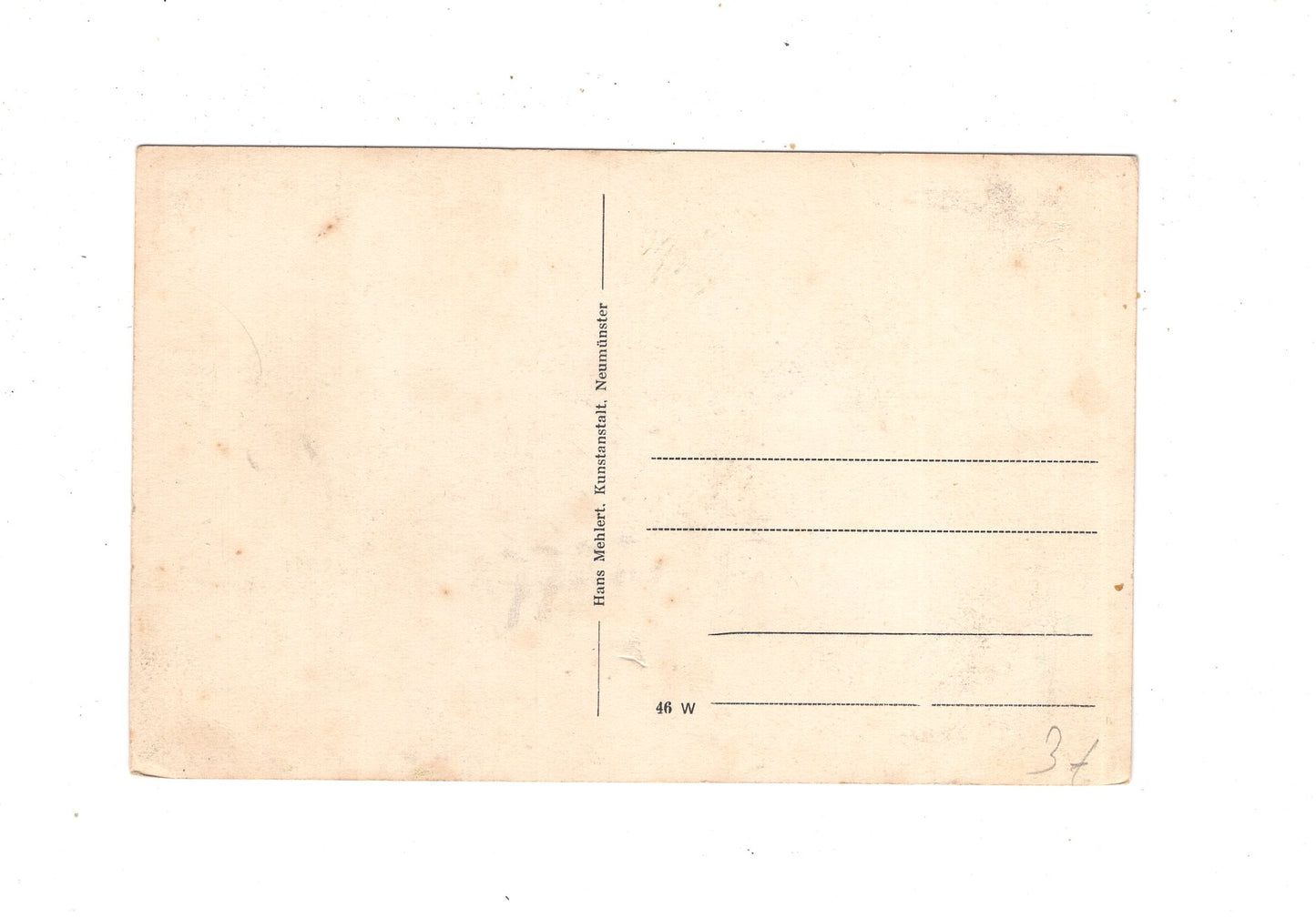 Ansichtskarte Hallig Hooge / L1-69