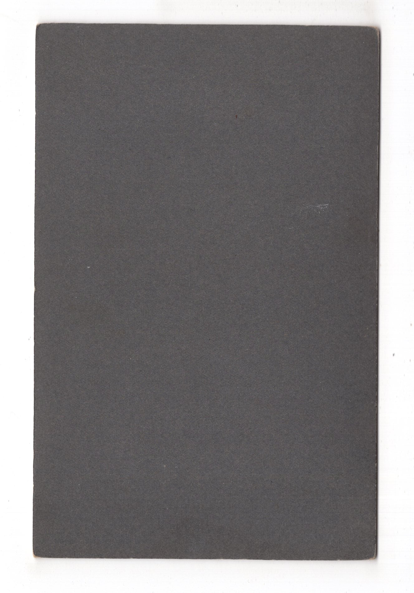 Fotografie Schönes Hochzeitsbild - Elberfeld um 1910