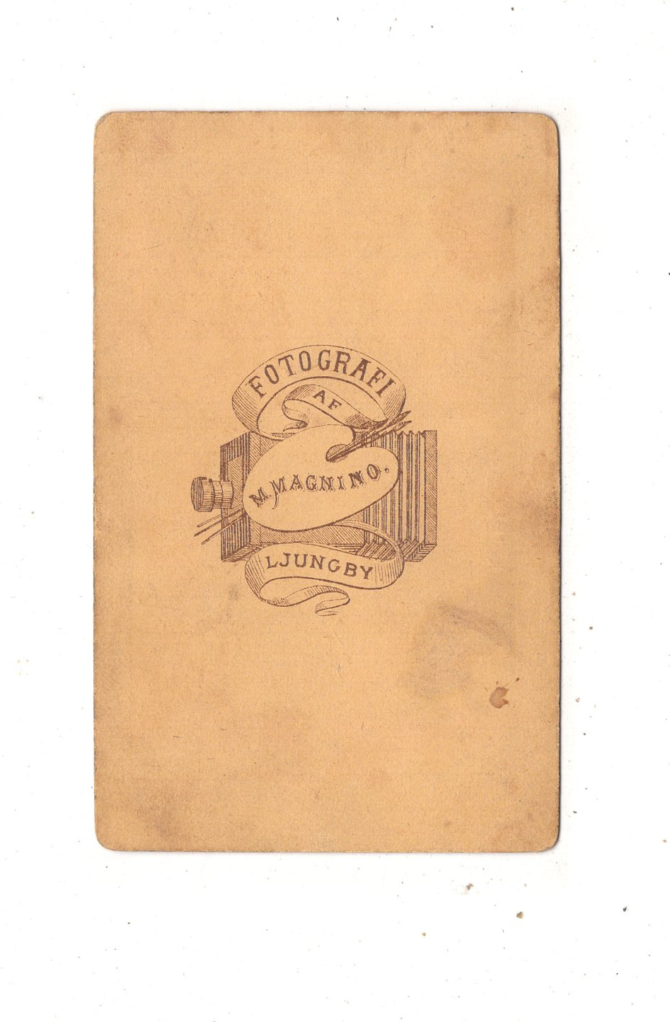 Fotografie Feine Dame - Ljungby 1870er