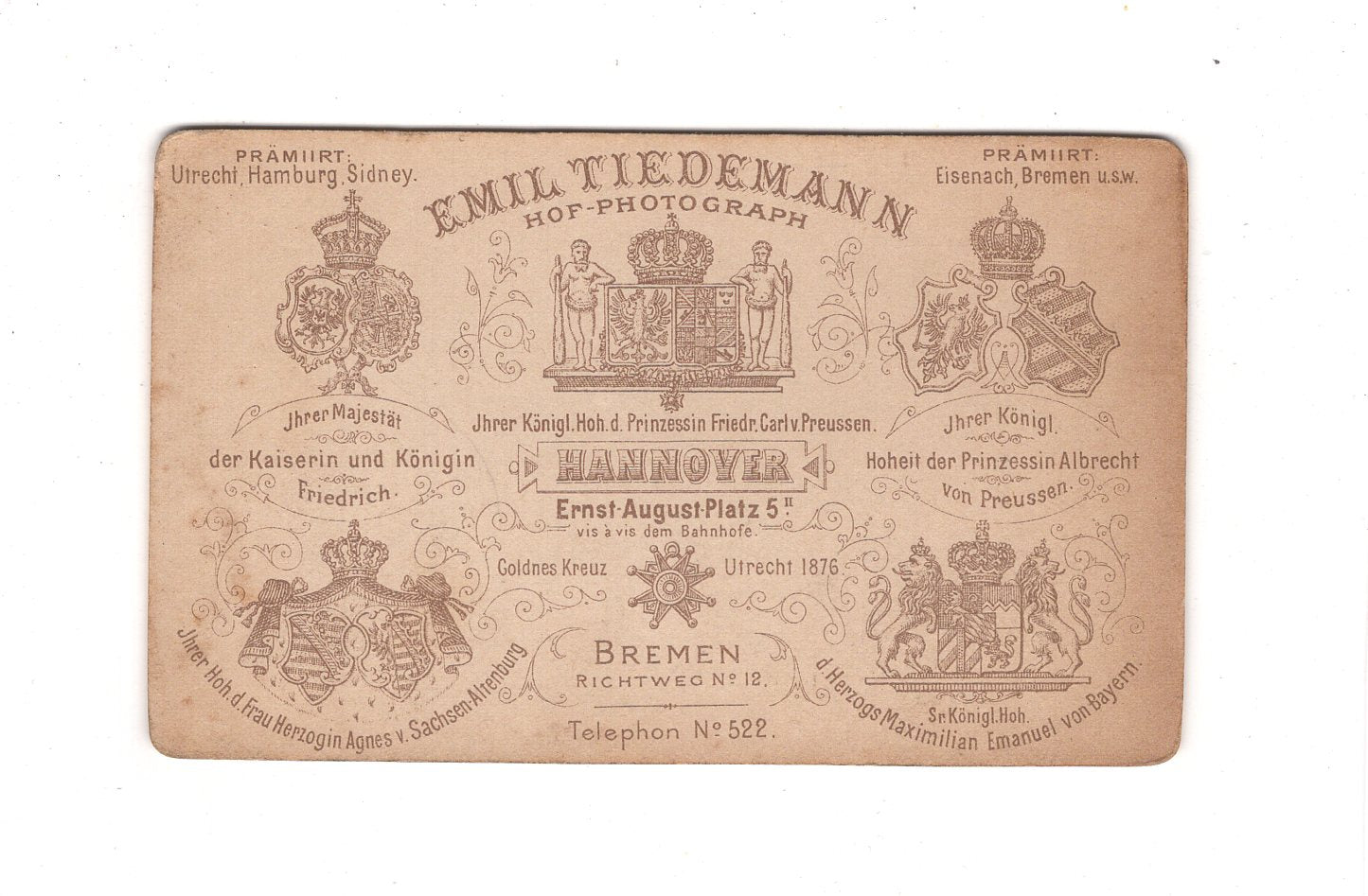 Fotografie Damenportrait - Hannover 1890er / CDV C1-08