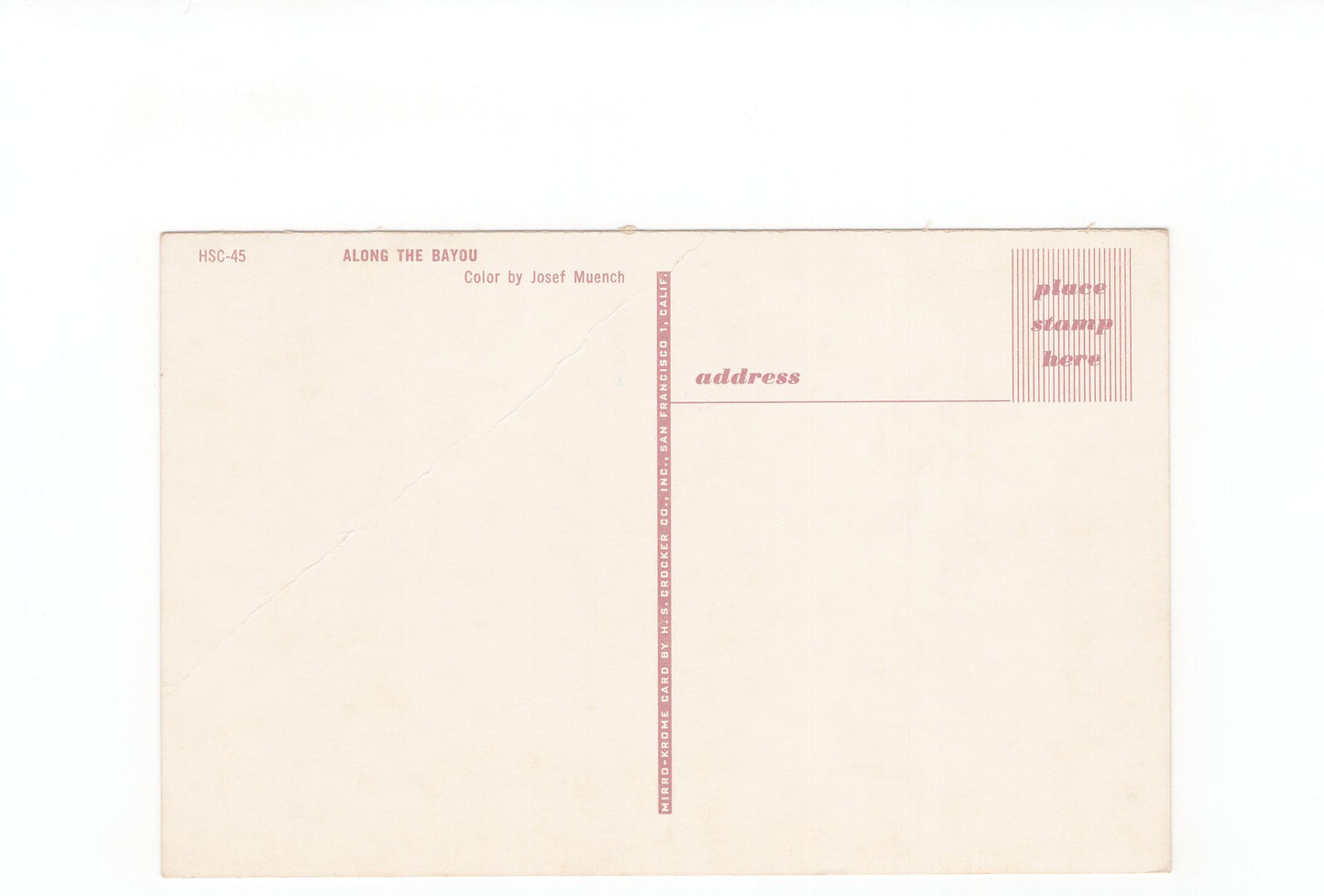 Ansichtskarte Along the Bayou / Louisiana / USA