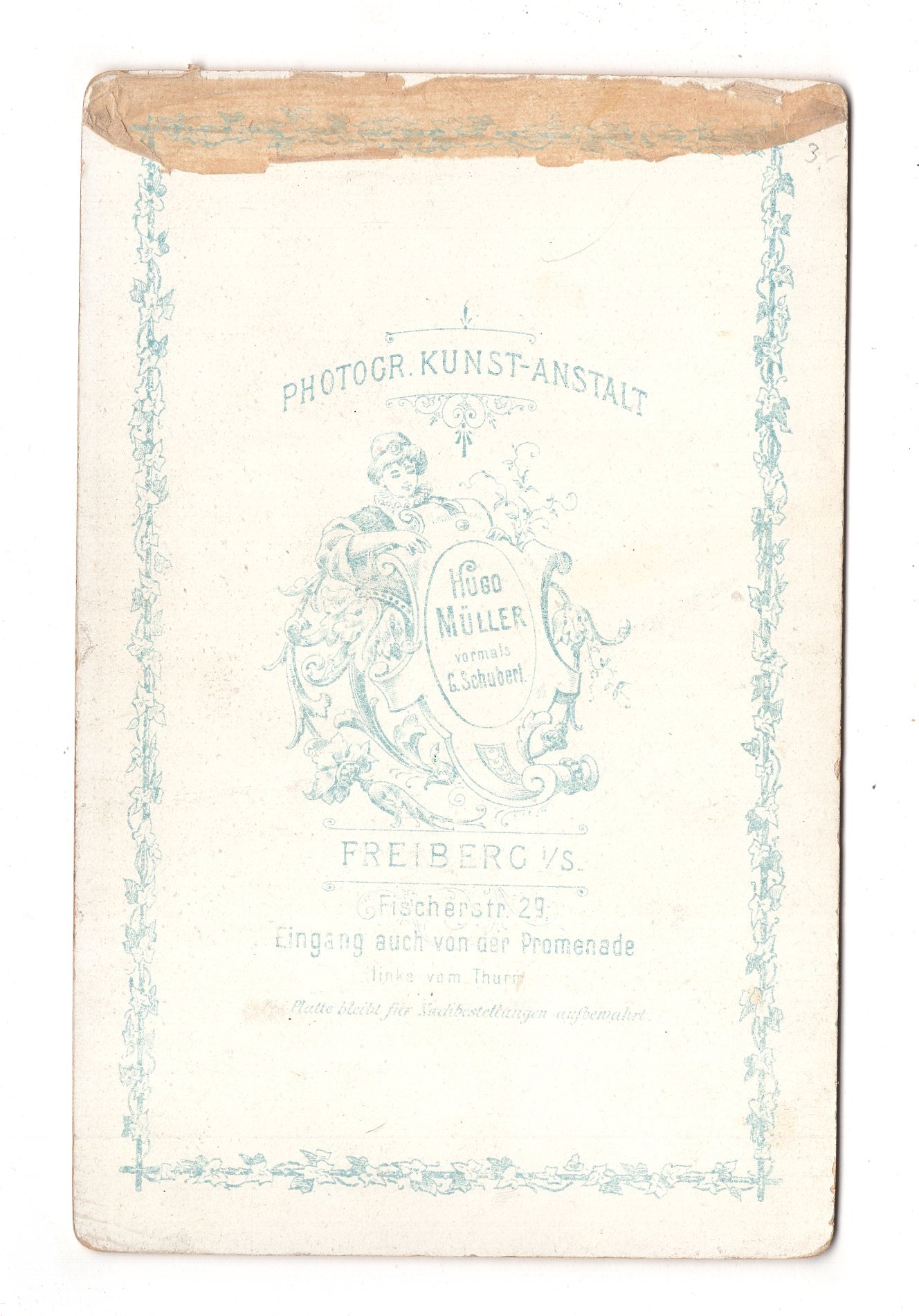 Fotografie Feines junges Mädchen - Freiberg 1890er / CAB U-28