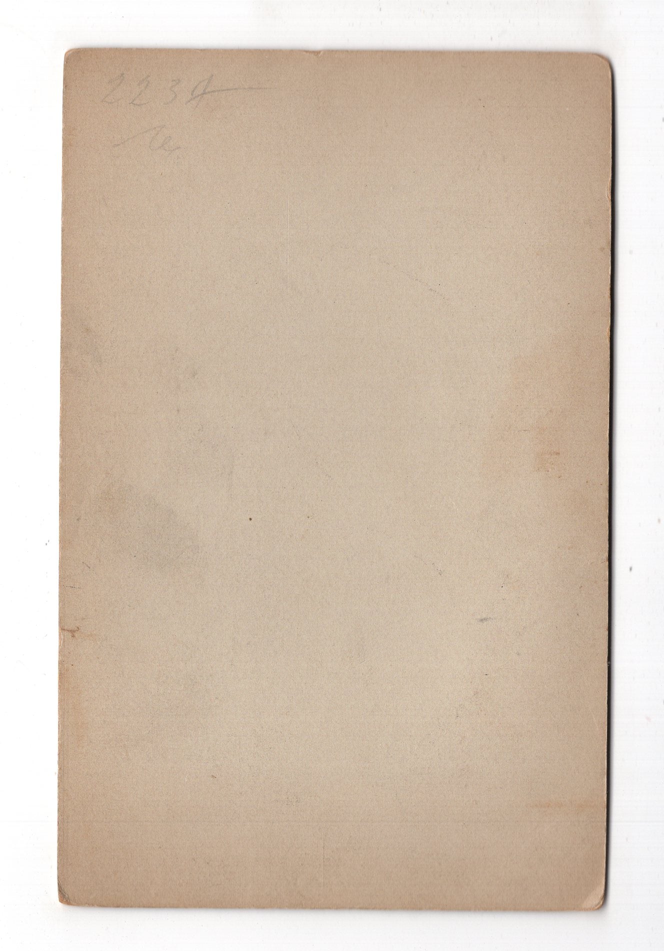 Fotografie Feine Dame - Frankfurt Main 1890er / CAB W-31